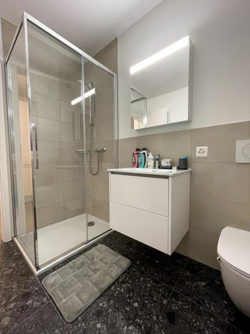 Five Stars Comfort Apartment Lugano Near The Lake Buitenkant foto