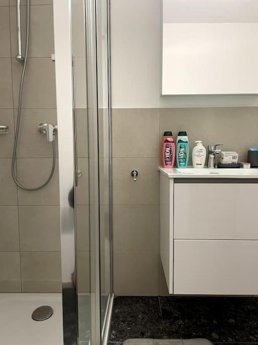 Five Stars Comfort Apartment Lugano Near The Lake Buitenkant foto