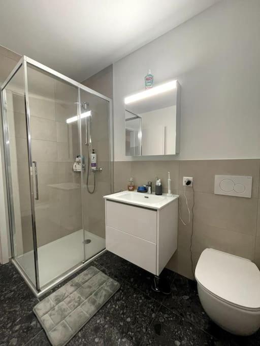 Five Stars Comfort Apartment Lugano Near The Lake Buitenkant foto